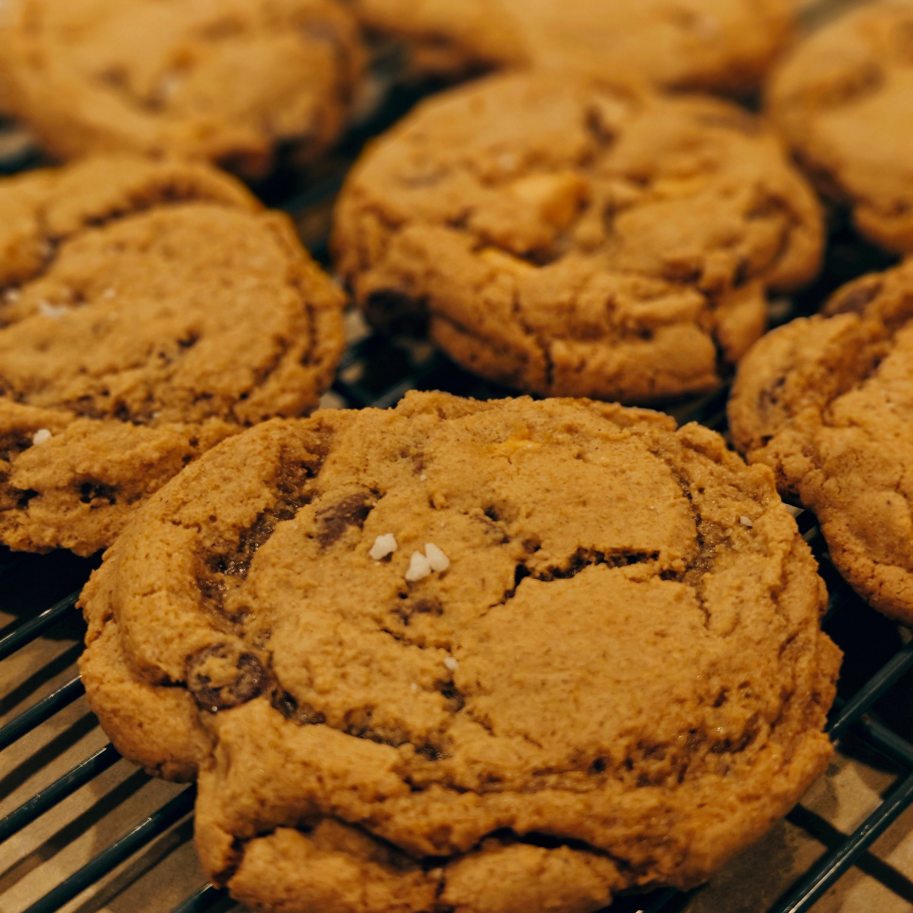Cookies on a cooling rack with a close-up focus on one cookie.